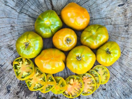 Thorburn s Terra Cotta Heirloom Tomato Seeds Hot on Sale