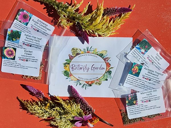 Butterfly Garden Host & Nectar Plants Seed Collection Gift Set Sale