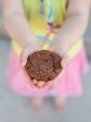 Breakfast Cookie Minis | Double Chocolate 20ct Cheap