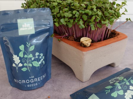 Large Self Watering Microgreens Kit & 1 Year Refills Bundle Hot on Sale