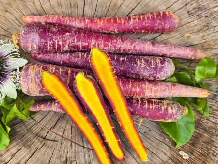 Purple Haze F1 Hybrid Purple Carrot Seeds For Sale