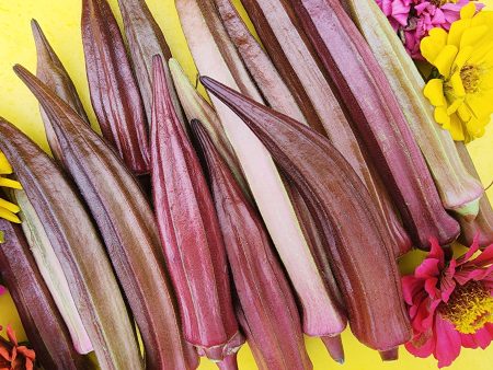 Red Burgundy Okra Sale