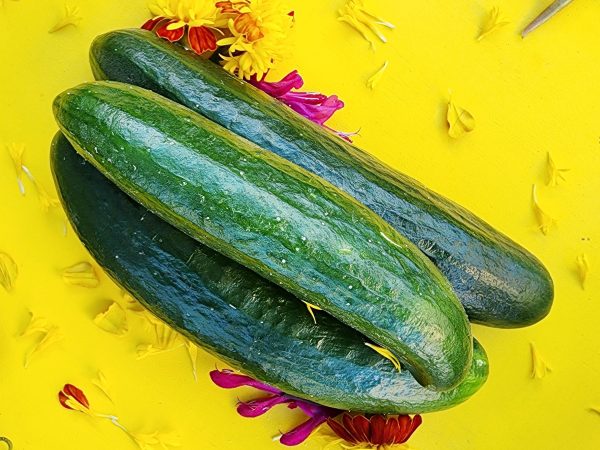 Beit Alpha Cucumber Online now