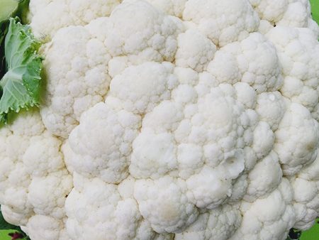 Snowball Y Improved White Cauliflower For Cheap