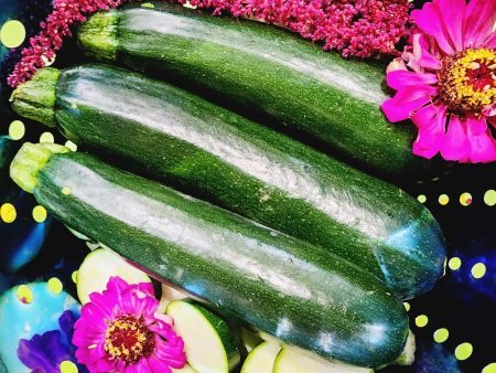 Black Beauty Zucchini Supply