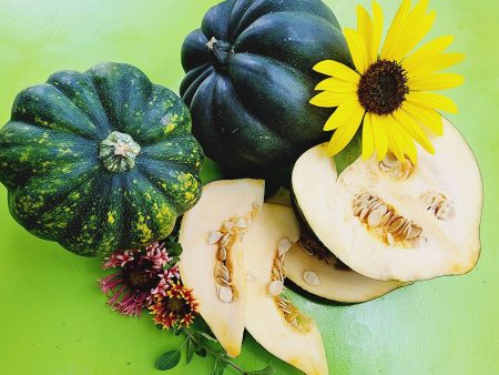 Acorn Winter Squash Fashion