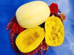 Spaghetti Winter Squash Hot on Sale