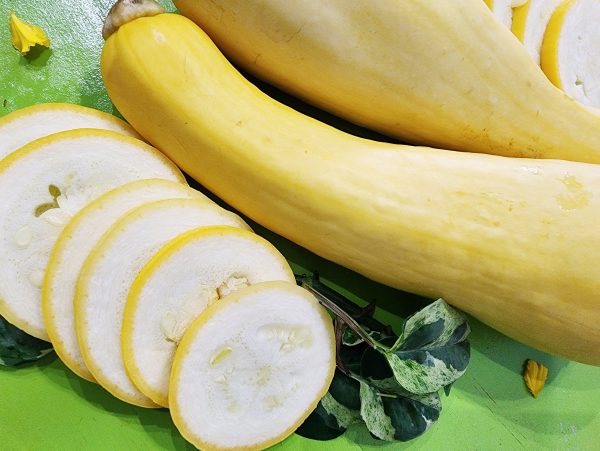 Yellow Crookneck Squash Online Hot Sale