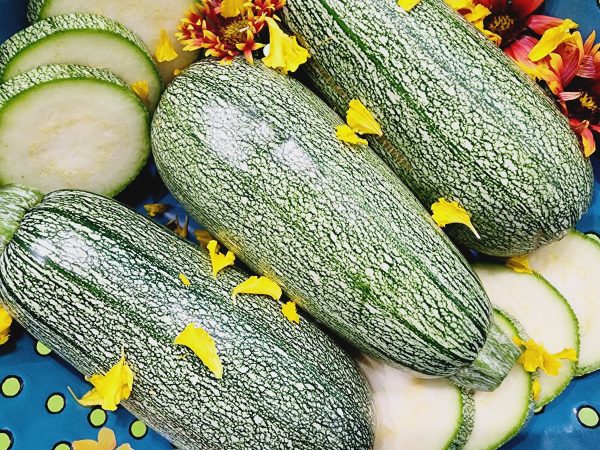 Grey Zucchini Discount