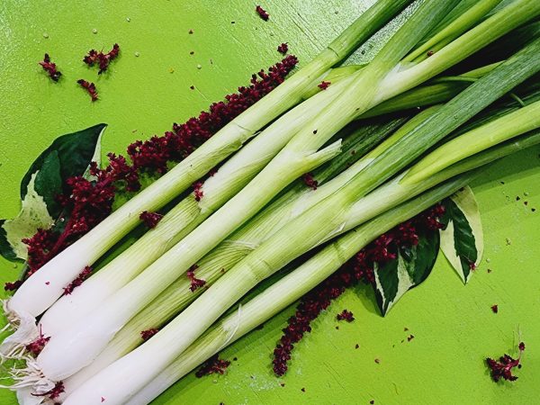 Green Bunching Onions on Sale