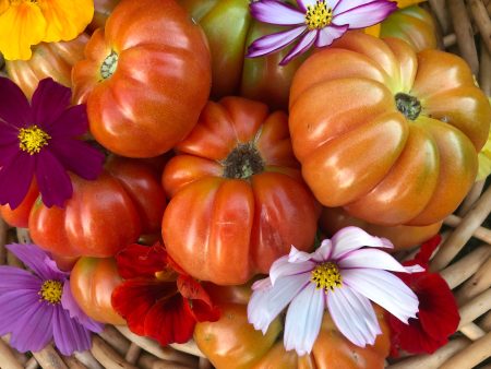 Paros Fluted Greek Tomato Online Hot Sale