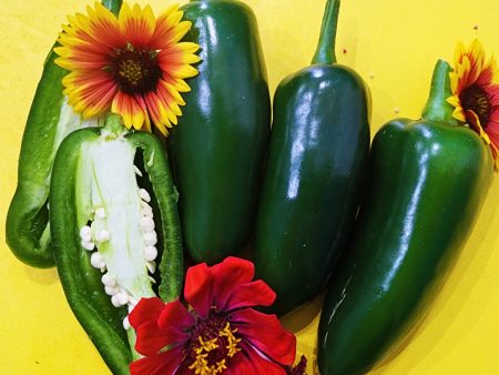 Jalapeno Hot Pepper Seeds For Cheap