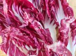 Palla Rosa Radicchio Seeds Online Hot Sale