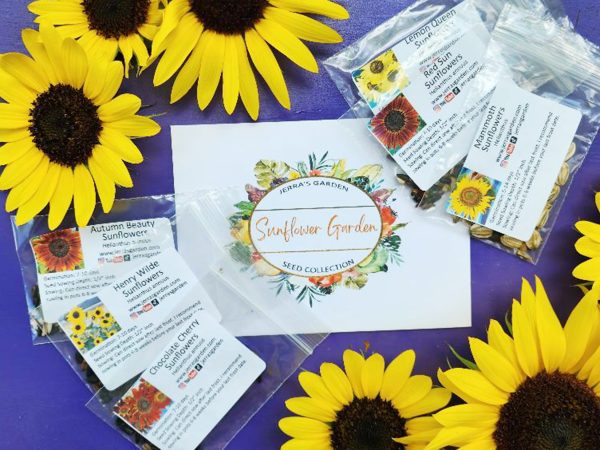 Sunflower Garden Heirloom Seed Collection Gift Set Sale