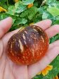 Dark Galaxy Tomato Seeds Online now