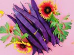 Purple Podded Pole Bean Seeds Fashion