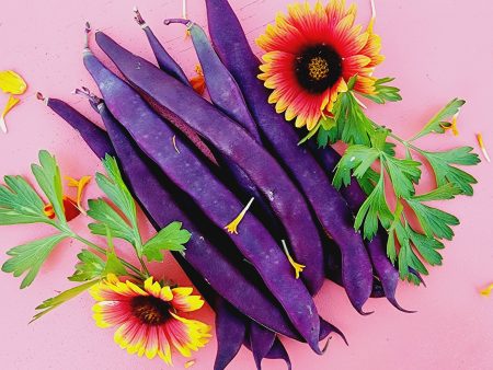 Purple Podded Pole Bean Seeds Fashion