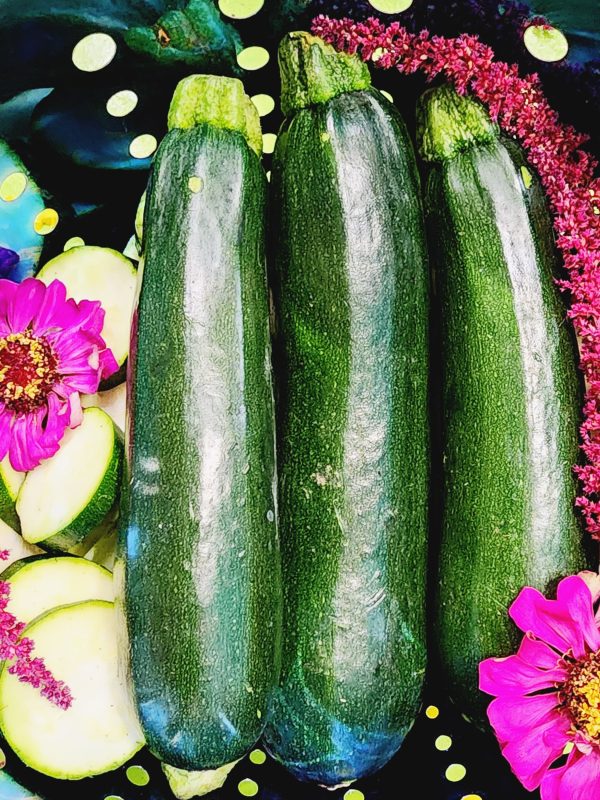 Black Beauty Zucchini Supply